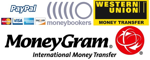 Western-Union, MoneyGram, Bank-Wire-Transfer