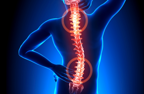 Area Chiropractor