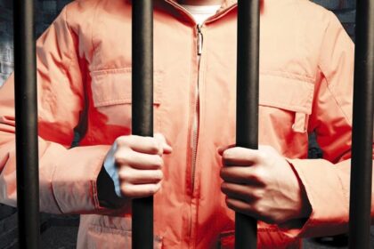 Insurance Fraud, Gambling and Extortion Offenses