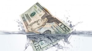 Money Laundering Multiple Counts of Wire Fraud and Mail Fraud 2