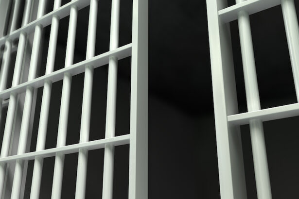 Mortgage Fraud