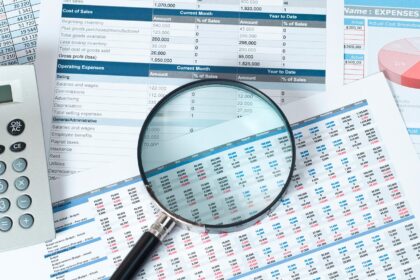 Financial Fraud