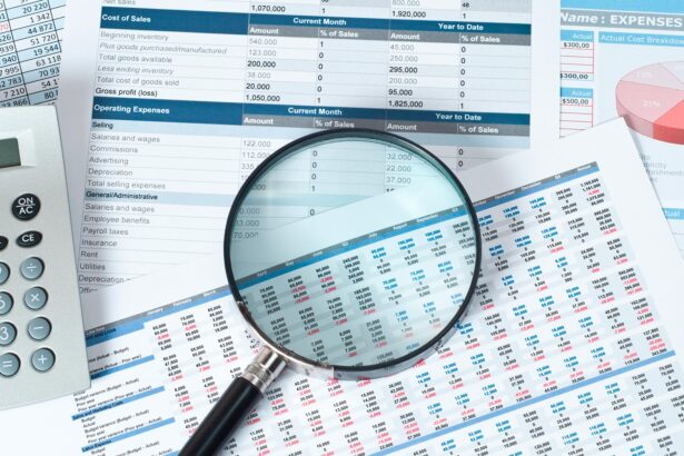 Financial Fraud