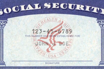 Financial Fraud