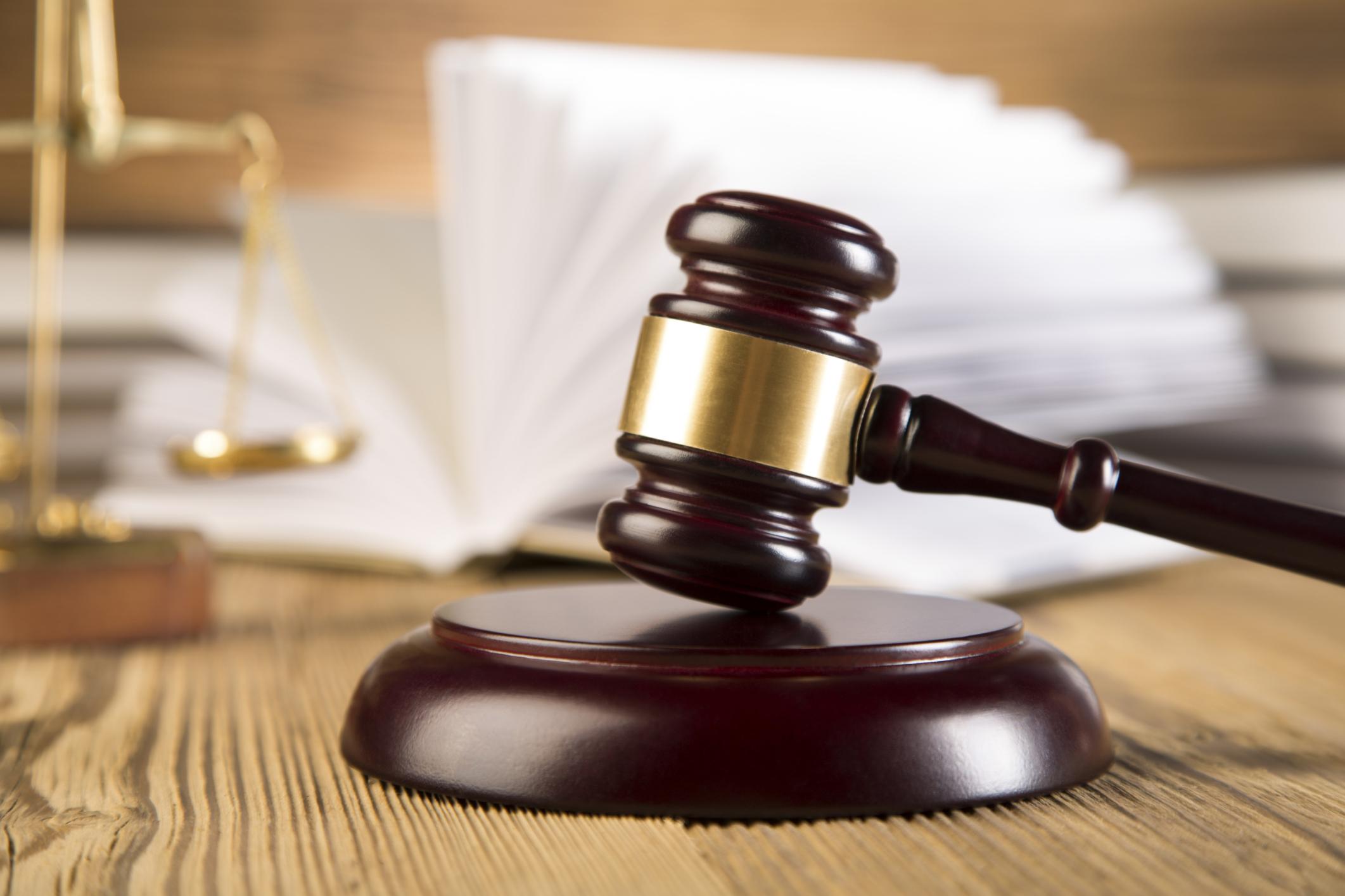 Financial Frud NIKESH A. PATEL Pleaded Guilty to Fraud in Sham Loans to a Milwaukee Investment Company Financial Fraud