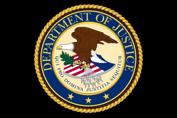 Financial And Tax Fraud Collects