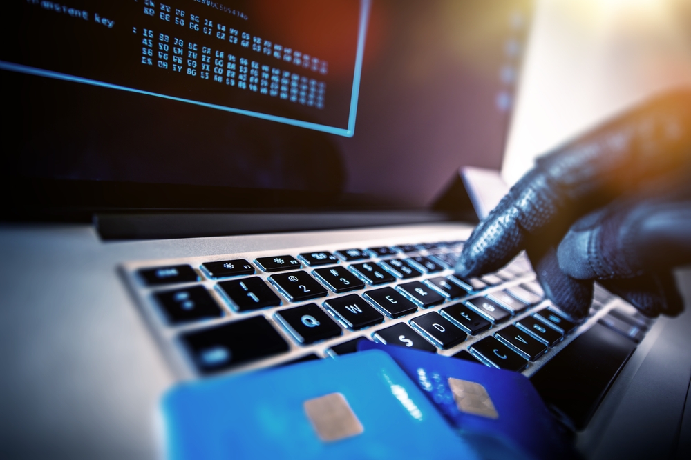 Financial Fraud: Travis Lee Sentenced For Credit Card Fraud Scheme 1 Financial Fraud