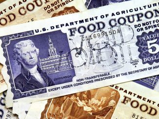 Financial Fraud: Group of Individuals Charged in Connection With Schemes To Illegally Redeem Food Stamp Benefits in Exchange For Cash 1 Financial Fraud