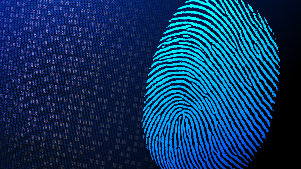 Wilson Lasset Pled Guilty to Wire Fraud And Aggravated Identity Theft