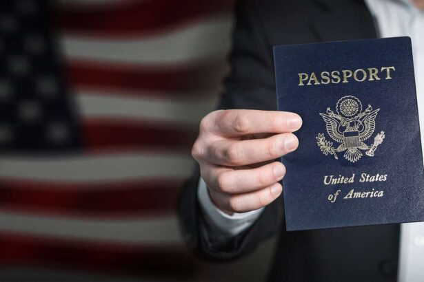 Visa Fraud
