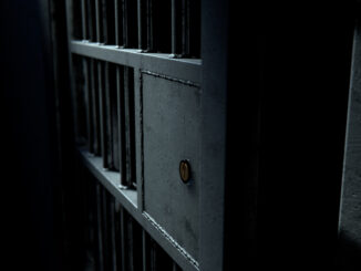 Financial Fraud: Antonio Buzaneli Sentenced Sentenced In Investment Fraud Scheme Involving Brazilian Factoring 5 Financial Fraud