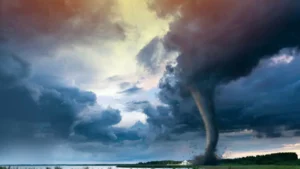 Disaster Relief Scams